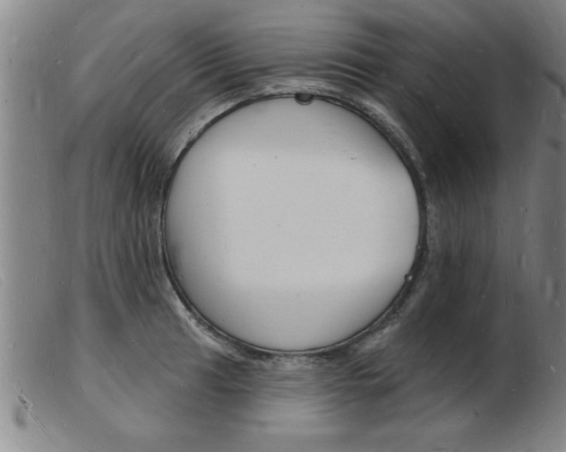 X0000103971041200809191354