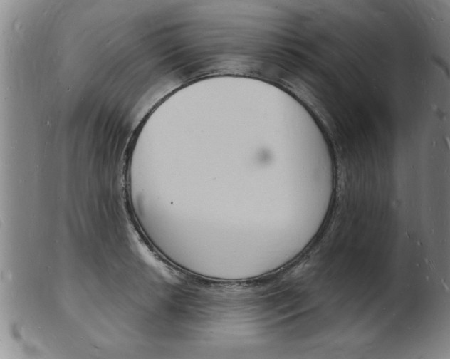 X0000103971042200809191354