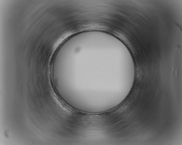 X0000103971043200809191354