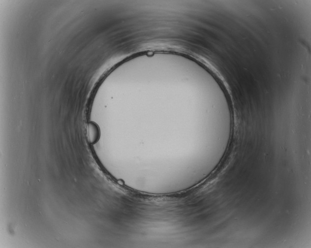 X0000103971045200809191354