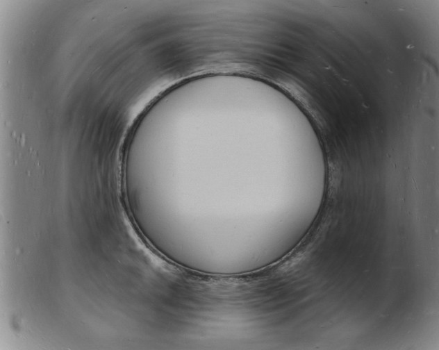 X0000103971046200809191354