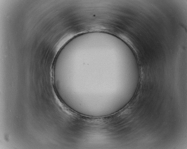 X0000103971047200809191354