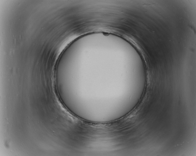 X0000103971048200809191354