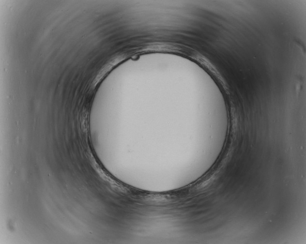 X0000103971049200809191354