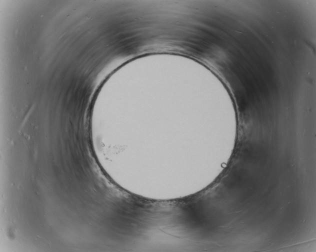 X0000103971053200809191354