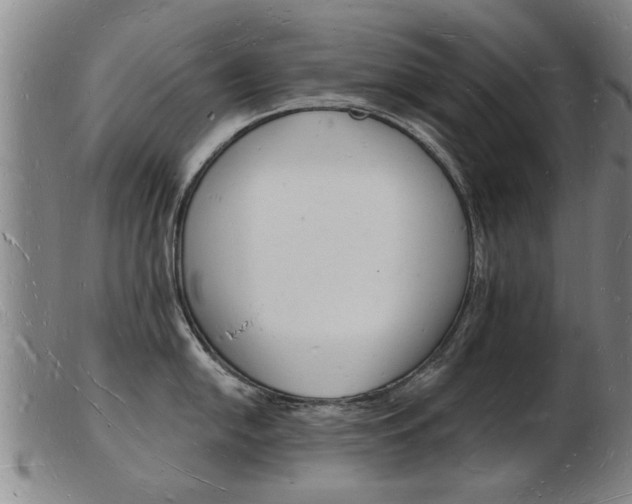 X0000103971054200809191354