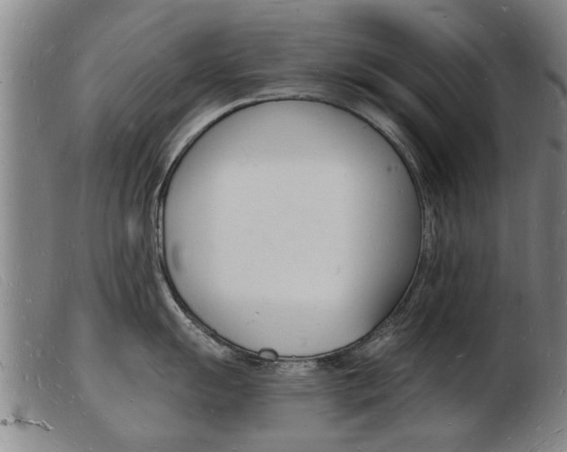 X0000103971055200809191354