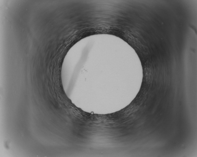 X0000103971057200809191353