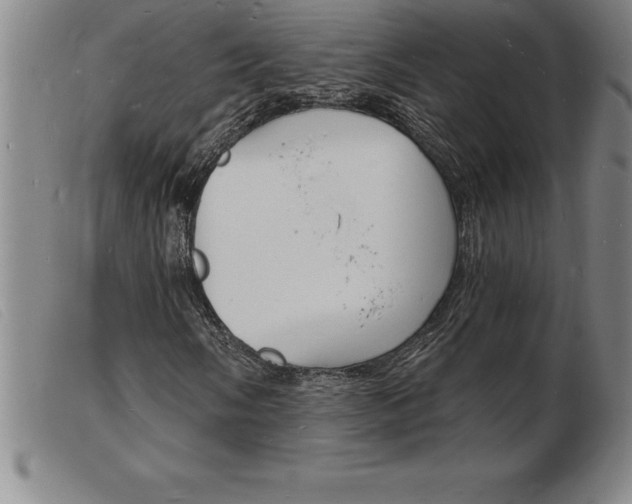 X0000103971058200809191353