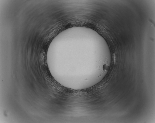 X0000103971059200809191353