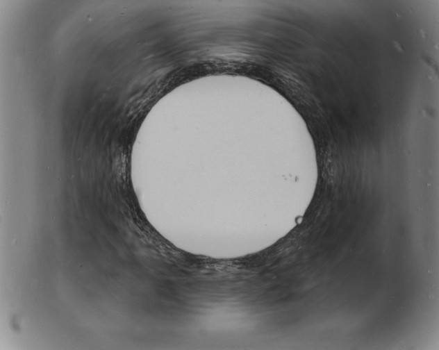 X0000103971061200809191353