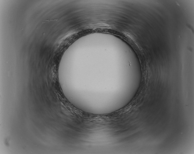 X0000103971063200809191353