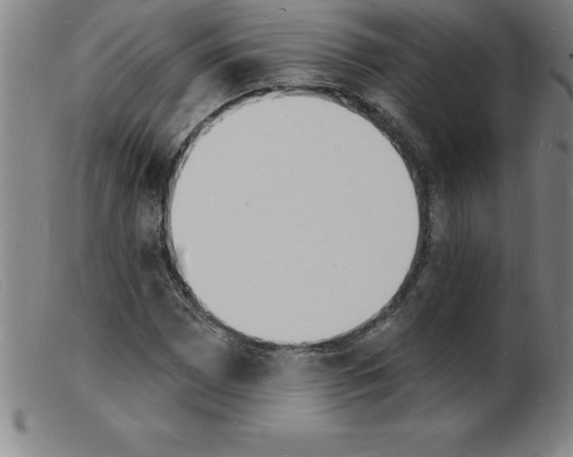 X0000103971065200809191353