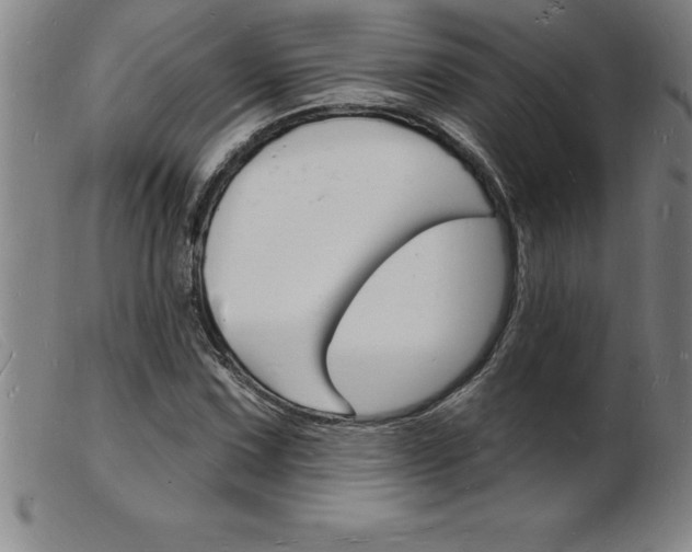 X0000103971067200809191353