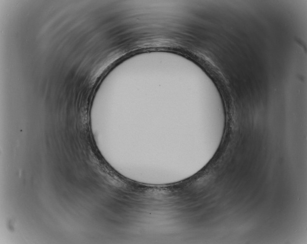 X0000103971073200809191353