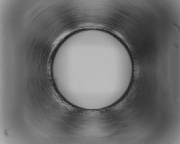 X0000103971074200809191353