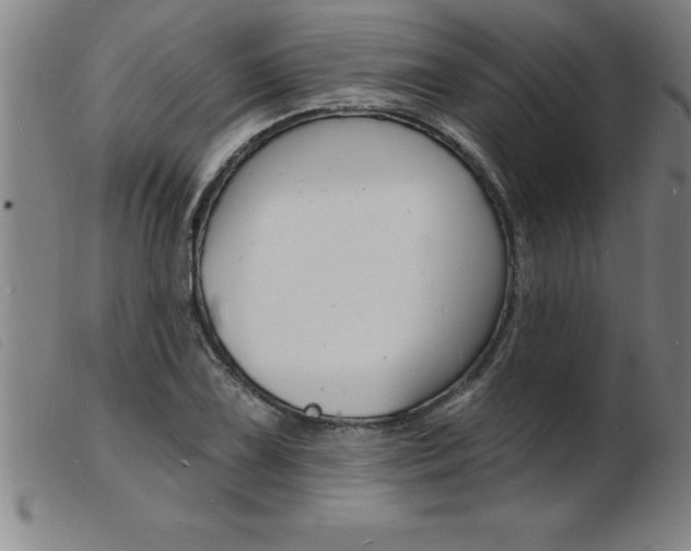 X0000103971075200809191353