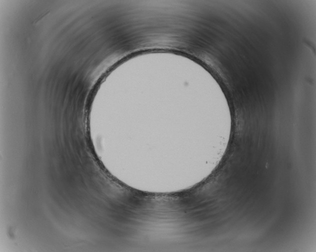 X0000103971077200809191353