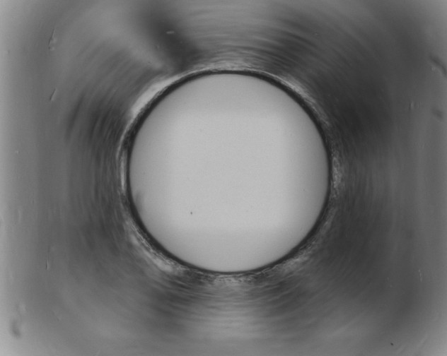 X0000103971078200809191353