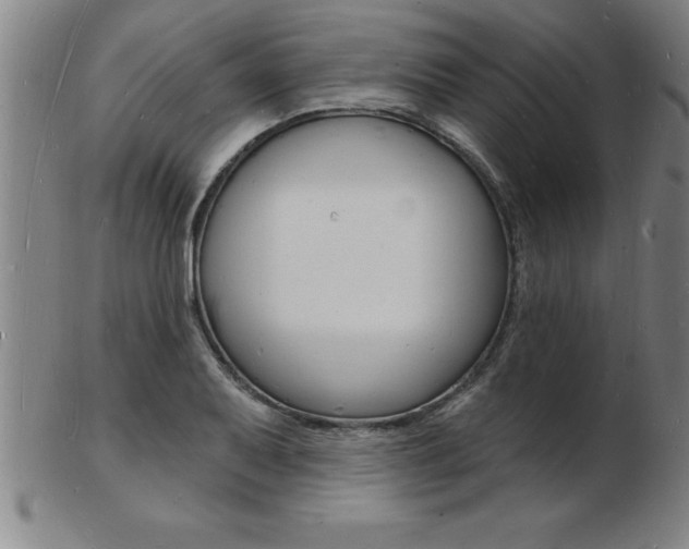 X0000103971079200809191353