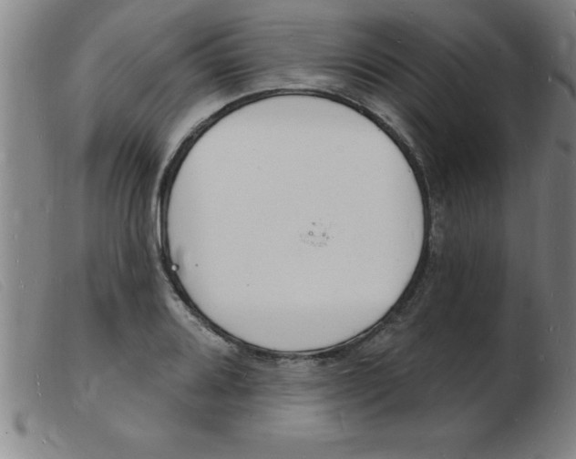 X0000103971080200809191353