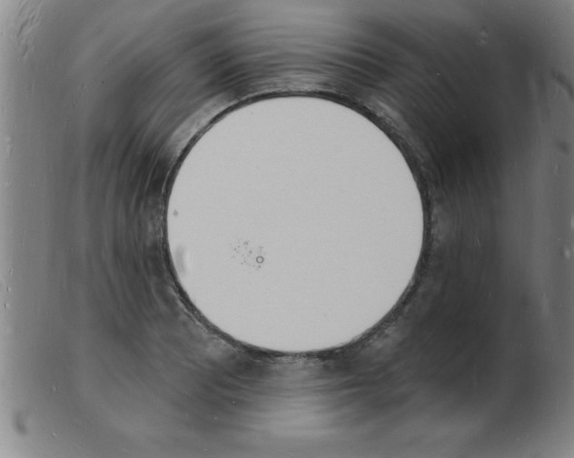 X0000103971081200809191353