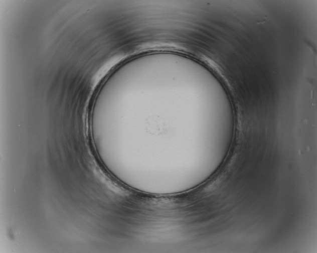 X0000103971082200809191353