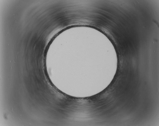 X0000103971085200809191352