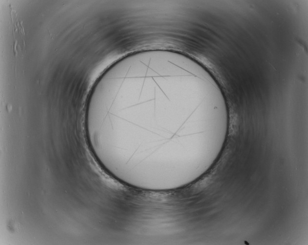 X0000103971086200809191352