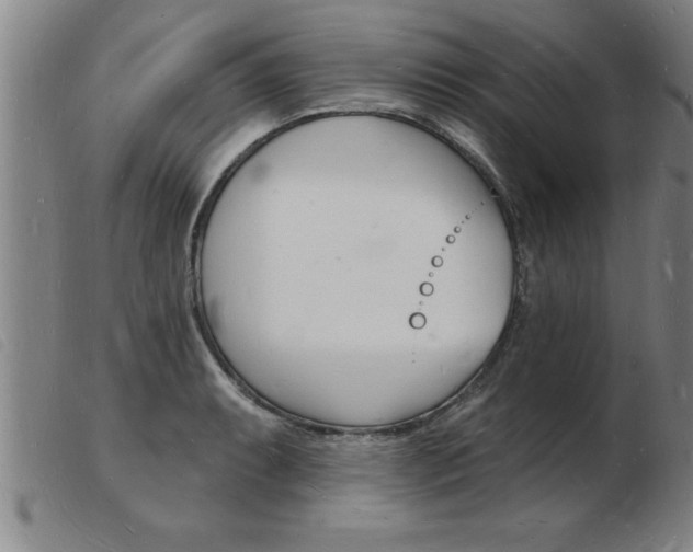 X0000103971087200809191352