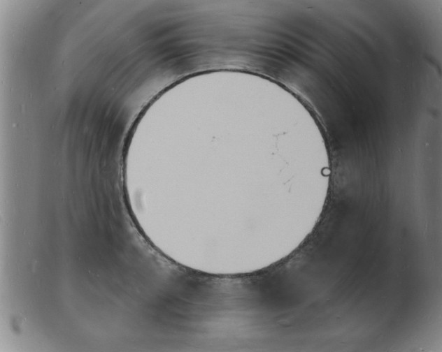 X0000103971088200809191352