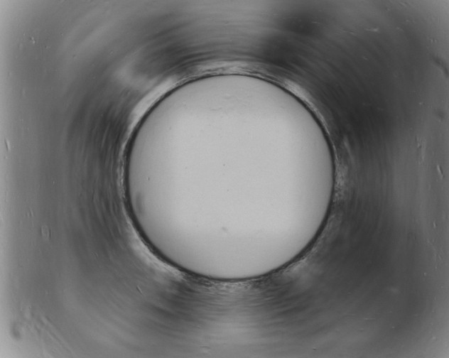 X0000103971090200809191352