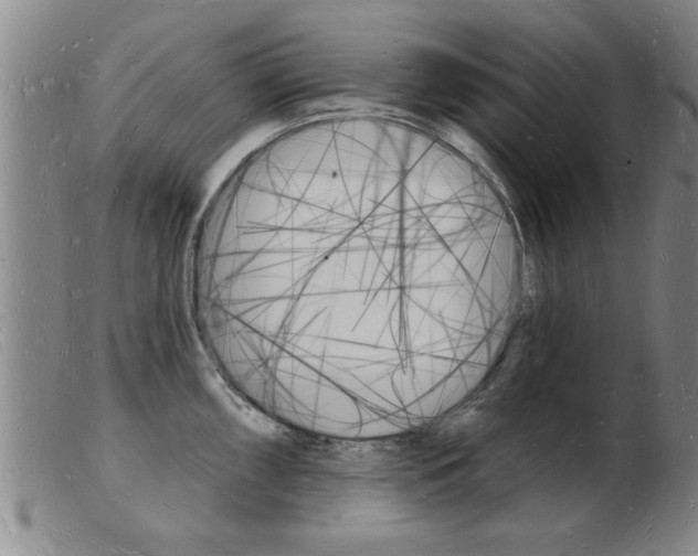 X0000103971098200809191352