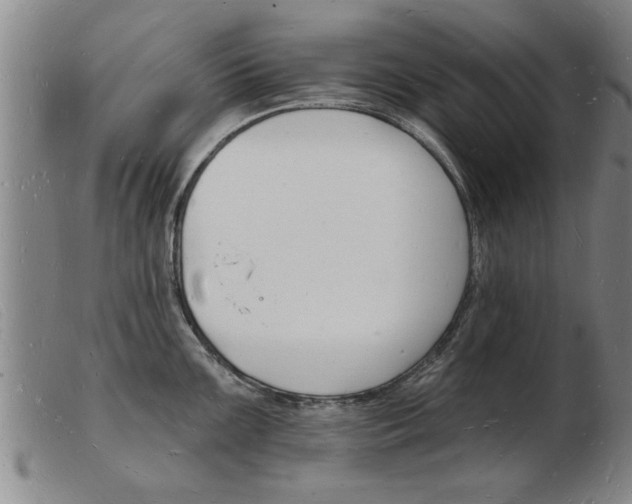 X0000103971099200809191352