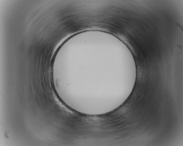 X0000103971100200809191352
