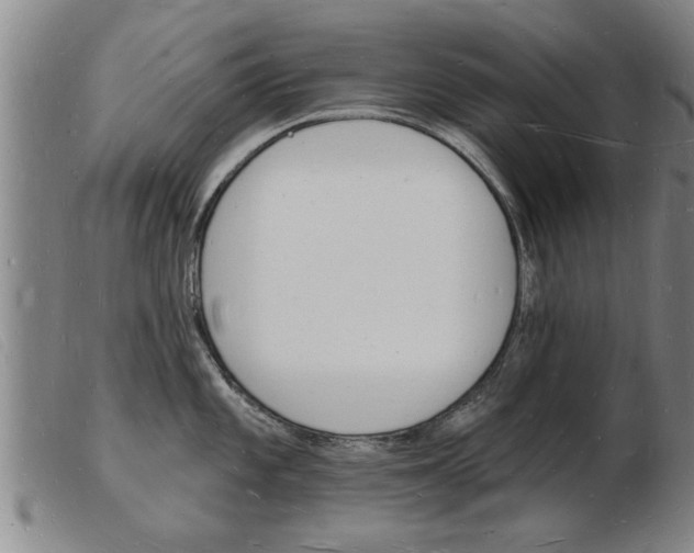 X0000103971101200809191352