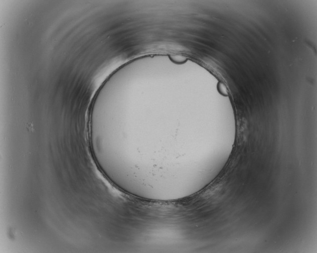 X0000103971103200809191352