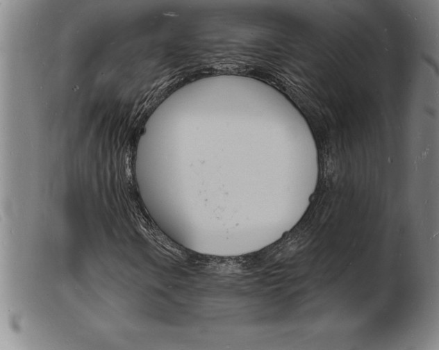 X0000103971106200809191352