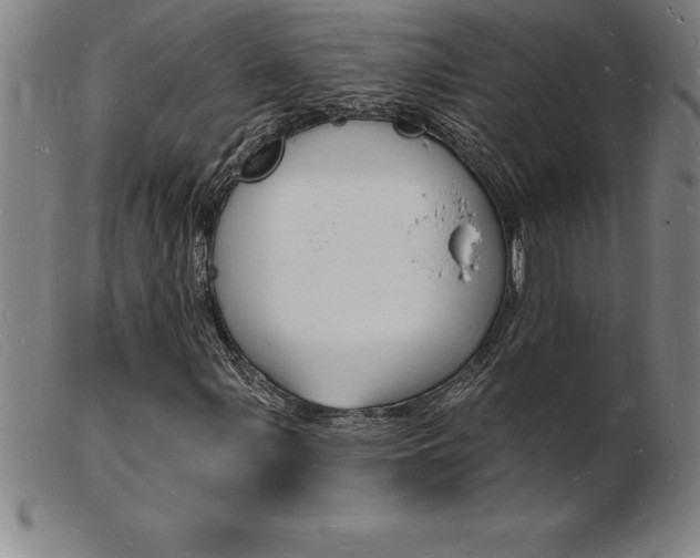X0000103971107200809191352