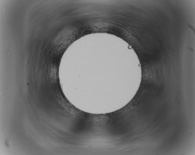 X0000103971108200809191352