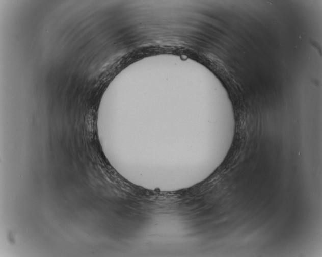 X0000103971110200809191352