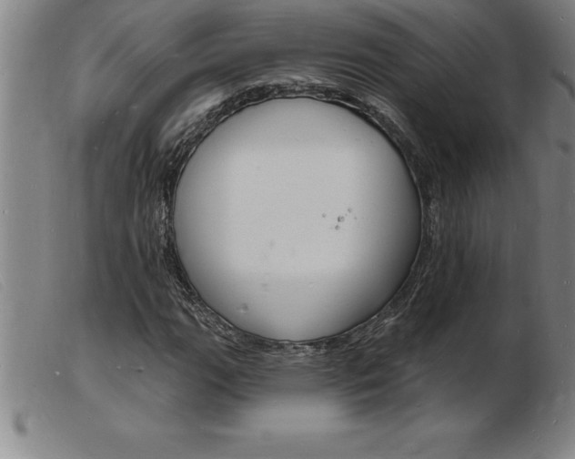 X0000103971111200809191352