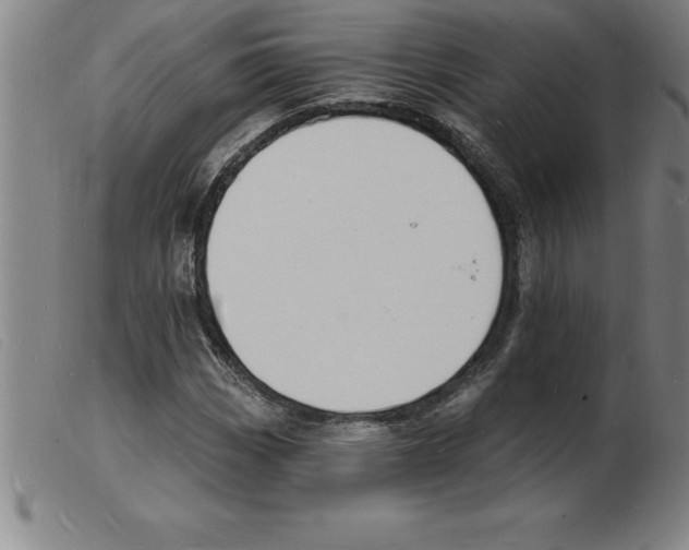 X0000103971113200809191352