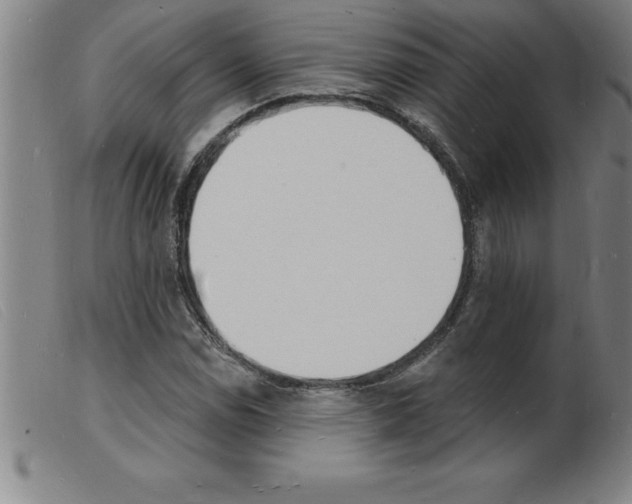 X0000103971114200809191352