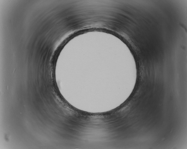 X0000103971118200809191352