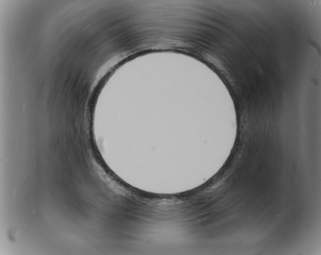 X0000103971122200809191352