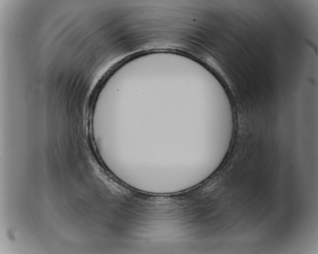 X0000103971124200809191352