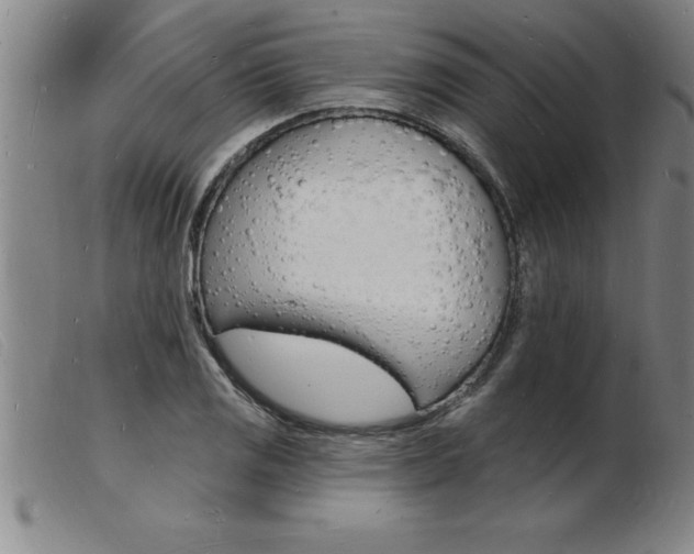 X0000103971125200809191352