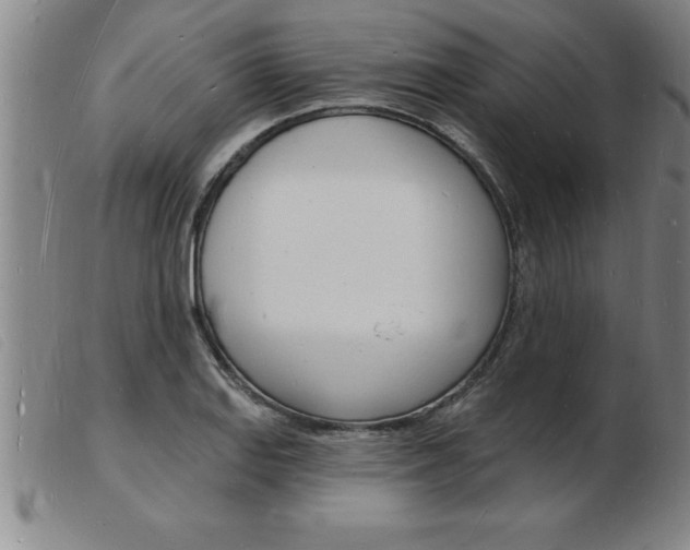 X0000103971127200809191352