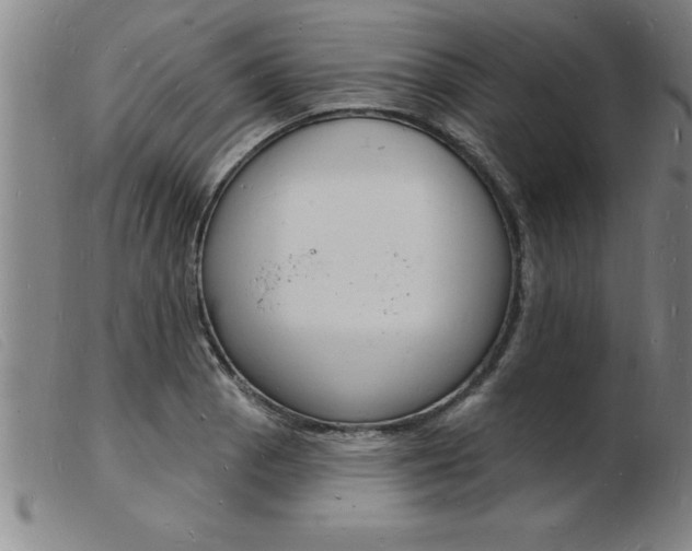 X0000103971129200809191352